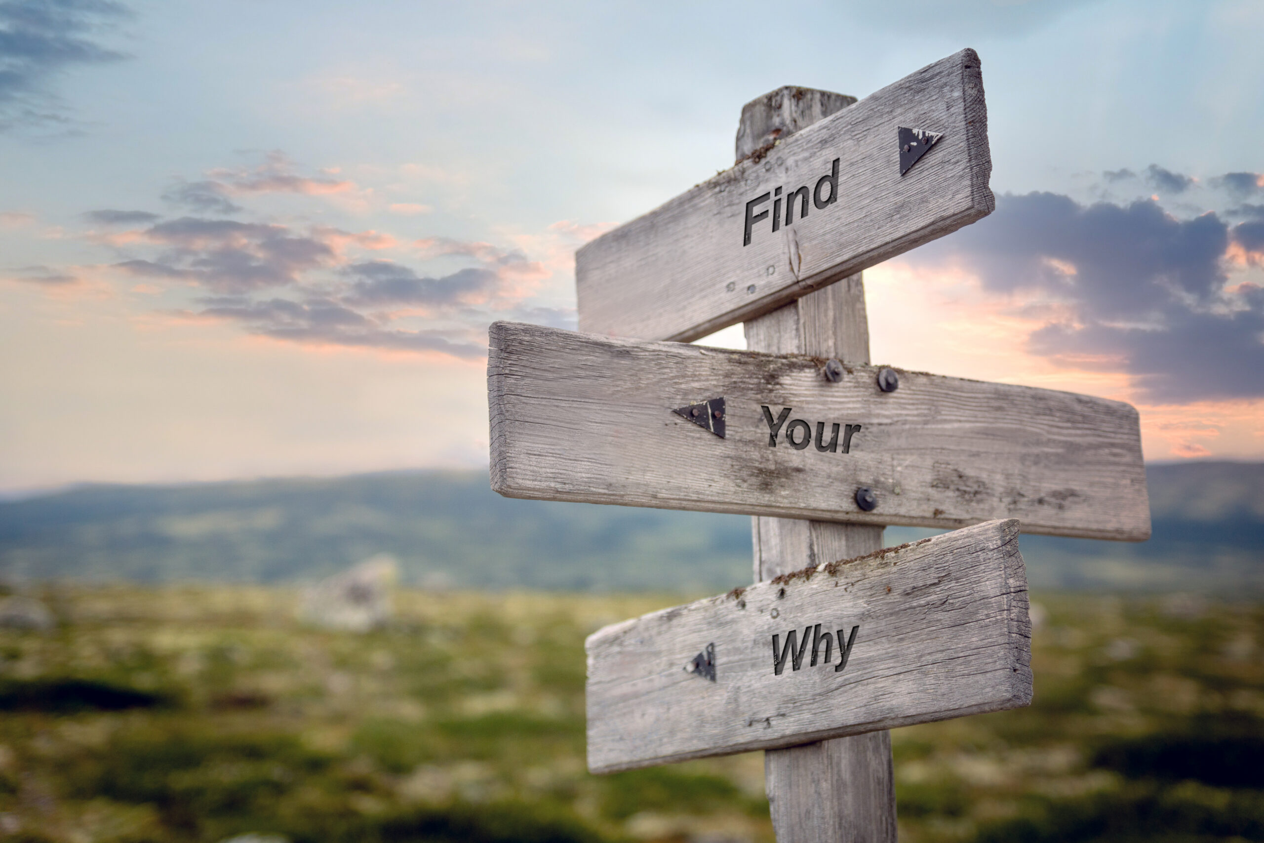 Wegweiser mit der Aufschrift Find Your Why vor einer Berglandschaft